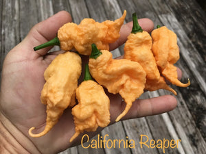 California Reaper (Pepper Seeds)