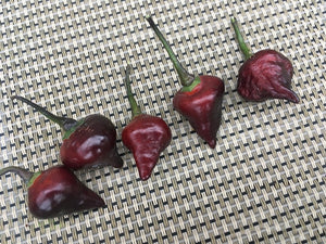 Chupetinho Black (Pepper Seeds)