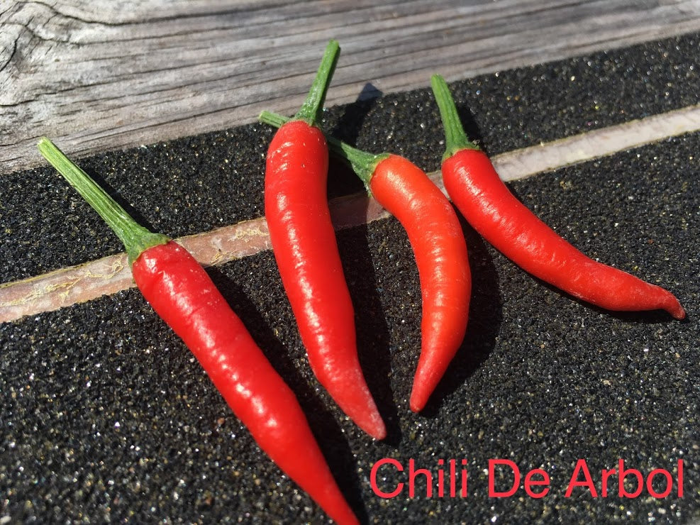 Chili De Arbol (Pepper Seeds) – Towns-End Chili & Spice