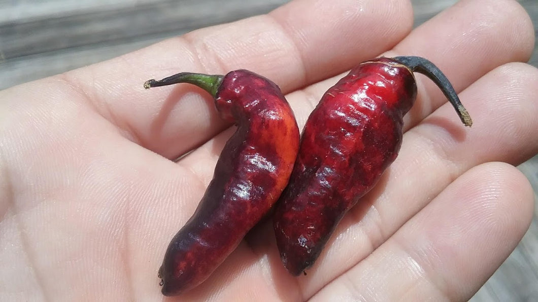 C.F. Mojo (Pepper Seeds)