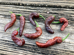 Chocolate Tiger (Pepper Seeds)