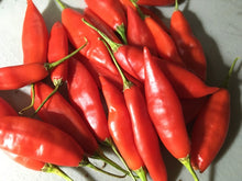 Load image into Gallery viewer, Challuaruro Red (Pepper Seeds)