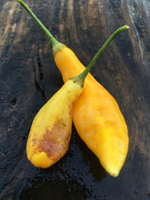 Load image into Gallery viewer, Challuaruro Yellow (Pepper Seeds)