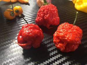 Carolina Reaper Red (Pepper Seeds)