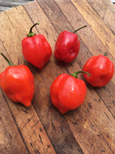 Load image into Gallery viewer, Habanero Caribbean Red (Pepper Seeds)