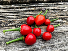 Load image into Gallery viewer, Chiltepin Red (Pepper Seeds)
