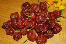Load image into Gallery viewer, 7 Pot Douglah Chocolate (Pepper Seeds)