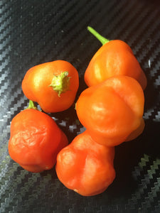 Aji Dulce Sol (Pepper Seeds)