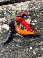 Load image into Gallery viewer, Dark Thai (Italia) (Pepper Seeds)