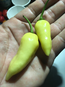 Devils Tongue White (Pepper Seeds)