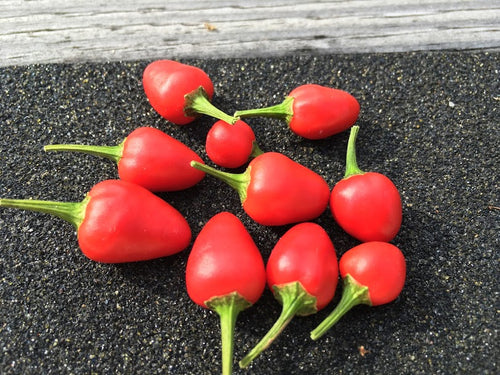 Hot Beads (Pepper Seeds)