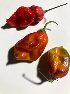 Red Horizon (Pepper Seeds)