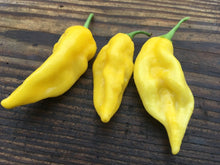 Load image into Gallery viewer, Habalokia Yellow (Pepper Seeds)