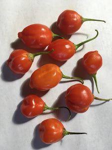 Inca Berry (Pepper Seeds)