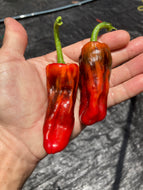 Bryan’s Blood (Fieri)(Pepper Seeds)