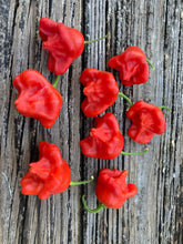 Load image into Gallery viewer, Bishops Cap (Pepper Seeds)