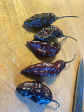 Load image into Gallery viewer, PJ Black OG (Pimenta Jolokia)(Pepper Seeds)(Limited)