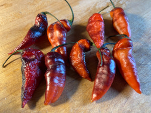 PJ Red OG (Pepper Seeds)