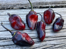 Load image into Gallery viewer, M.A.M.P. Black (Pepper Seeds) and