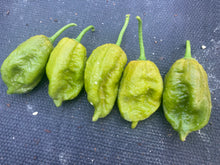 Load image into Gallery viewer, Green Goober Bhut (Pepper Seeds)