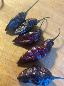 PJ Black OG (Pimenta Jolokia)(Pepper Seeds)(Limited)
