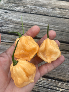 7 Pot Peach (Pepper Seeds)