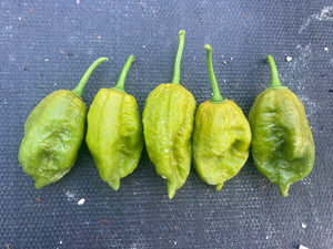 Green Goober Bhut (Pepper Seeds)