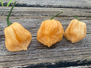 7 Pot Peach (Pepper Seeds)