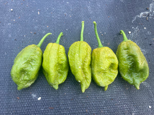 Green Goober Bhut (Pepper Seeds)