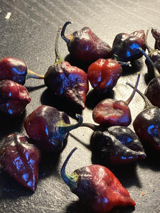 PJ Black Molten Mini (Pepper Seeds)