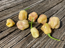 Load image into Gallery viewer, Moonlight Horizon (Pepper Seeds)(Limited)