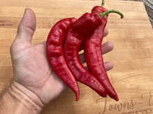 Load image into Gallery viewer, Jimmy Nardello (Pepper Seeds)