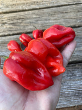 Load image into Gallery viewer, Habanero Red (Pepper Seeds)