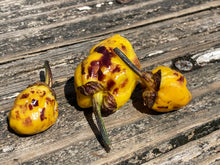 Load image into Gallery viewer, Purplegum Yellow Calyx First (Pepper Seeds)(Limited)