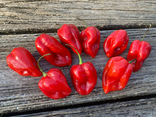 Load image into Gallery viewer, Habanero Red (Pepper Seeds)
