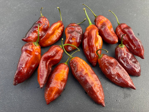 Serenade Horizon (Pepper Seeds)