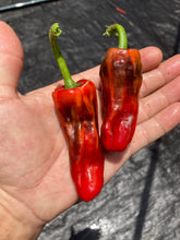 Load image into Gallery viewer, Bryan’s Fieri Blood (Pepper Seeds)
