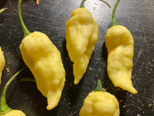 Load image into Gallery viewer, Bhut Jolokia White JW (Pepper Seeds)