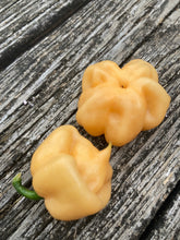 Load image into Gallery viewer, Scotch Bonnet &quot;Pink&quot; (Pepper Seeds)