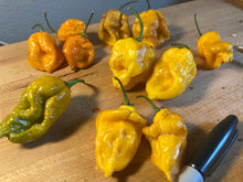 Load image into Gallery viewer, Yellow Horizon (Pepper Seeds)