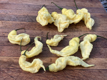 Load image into Gallery viewer, White GhostScorpion Jays/T-E (Pepper Seeds)(Limited)
