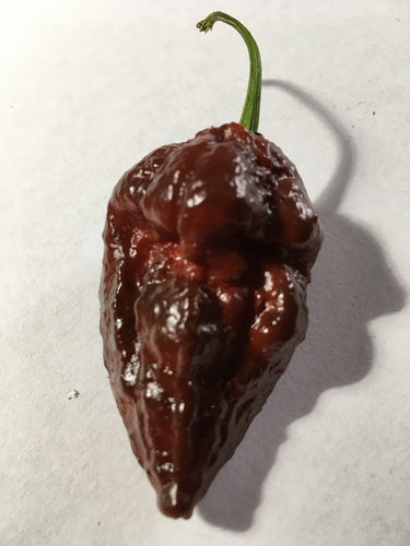 Kraken Scorpion Chocolate (Pepper Seeds)