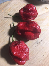 Load image into Gallery viewer, 7 Pot Lava Red (Pepper Seeds)