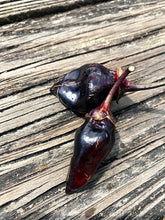 Load image into Gallery viewer, M.A.M.P. Bubblegum Black (Pepper Seeds)