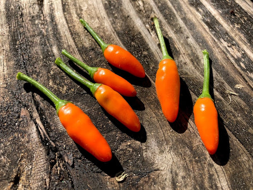 Malagueta Amarella (Pepper Seeds)