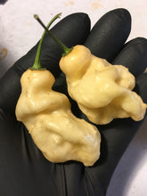Load image into Gallery viewer, Moruga Yellow x Big Black Devil (Pepper Seeds)