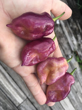 Load image into Gallery viewer, TaJ Mahal Purple Minion (Pepper Seeds)