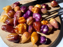 Load image into Gallery viewer, TaJ Mahal Purple Minion (Pepper Seeds)
