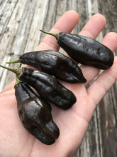 Load image into Gallery viewer, Machu Picchu (Pepper Seeds)