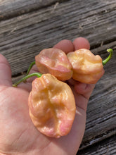 Load image into Gallery viewer, Mojo Peach (Pepper Seeds)(Limited)